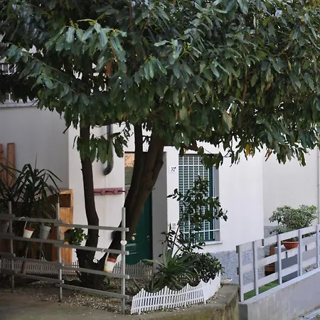 Montallegro 32m Free Parking